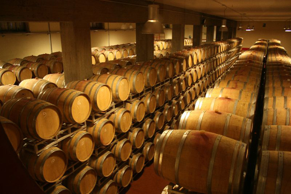 Botti di vino Barrique